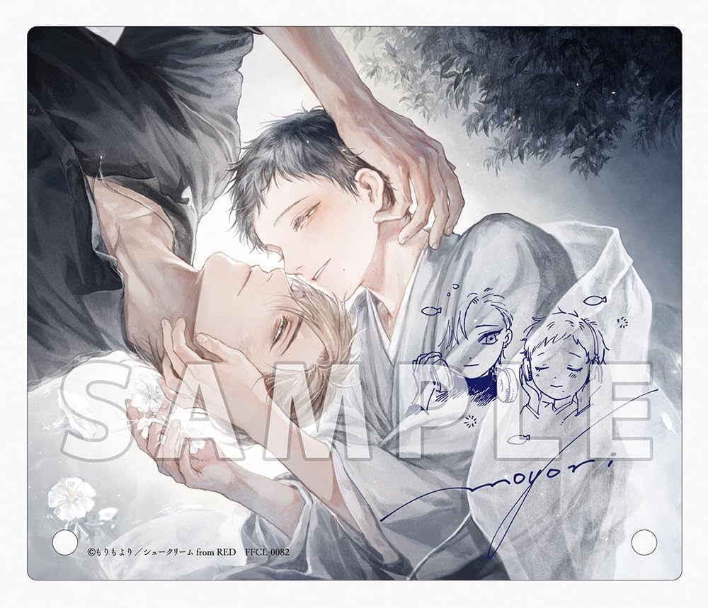 Amazon.co.jp: 【Amazon.co.jp限定】君の夜に触れる(メガジャケ